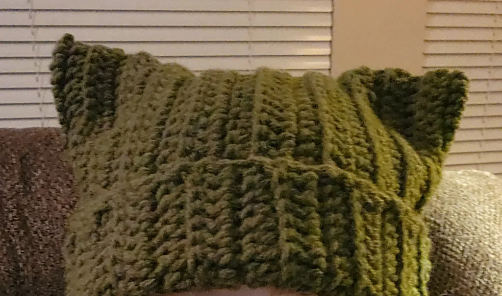Cat ear beanie in variegated green