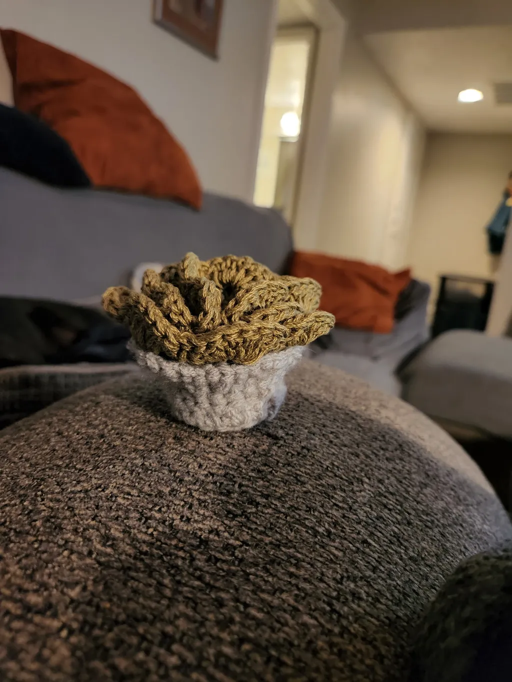 Flower plant coasters in their holder