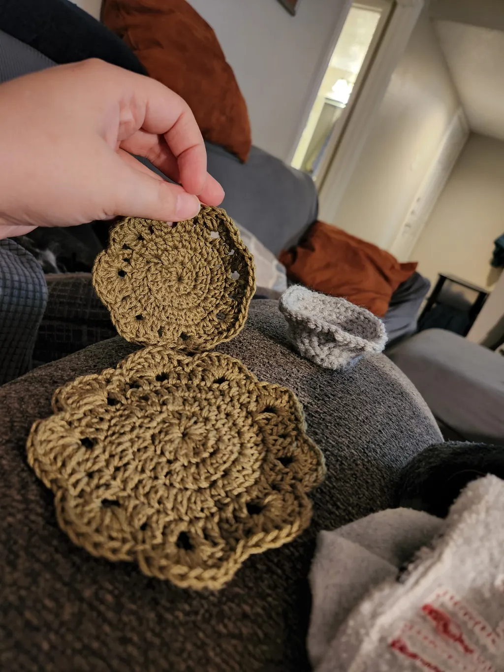 Flower plant coasters laid out