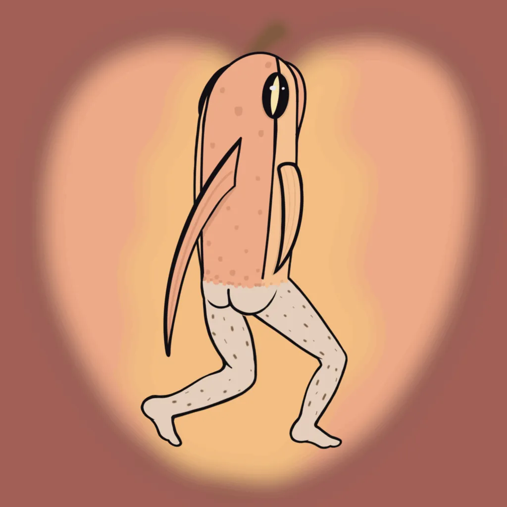 "Peach" Mermay 2025